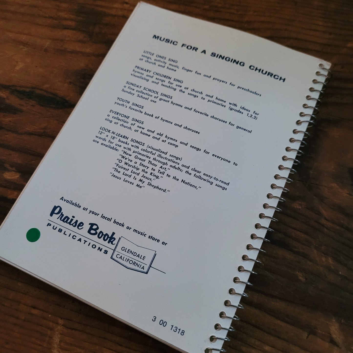 Sunday School Praise Book