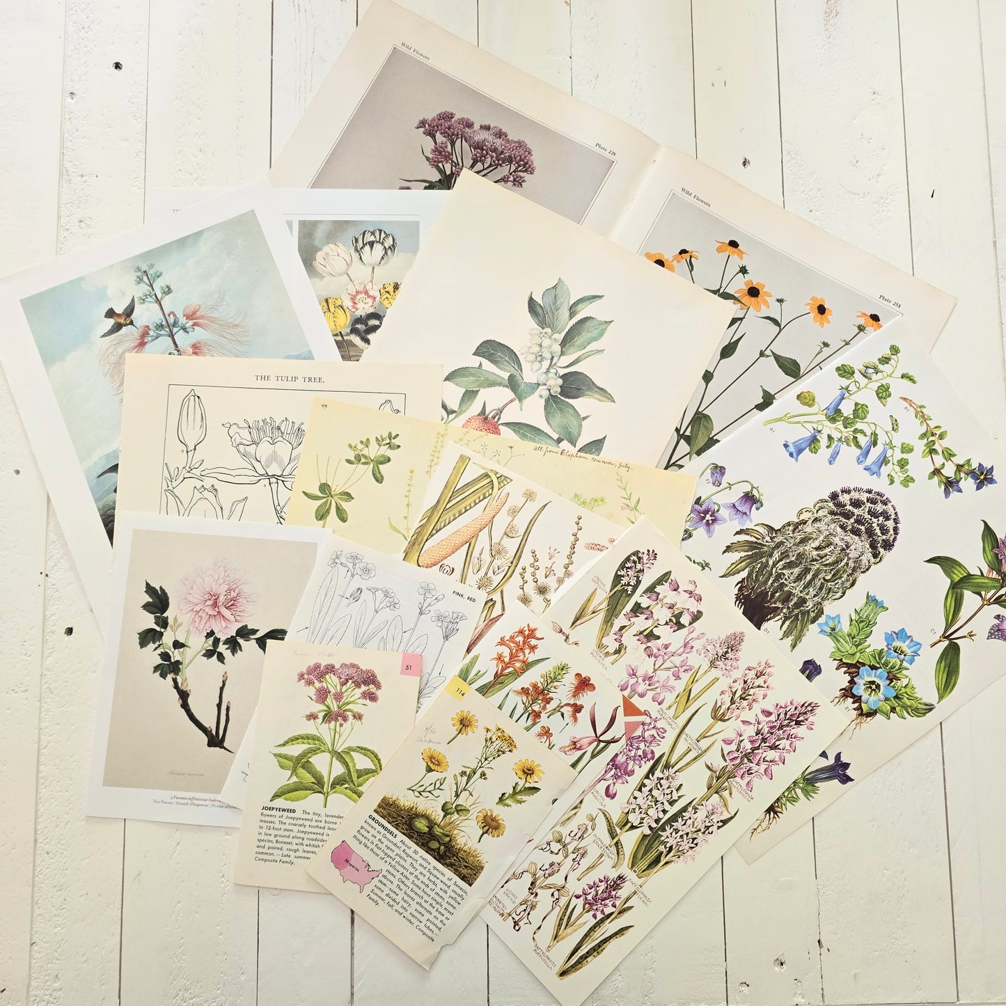 Flower Book Page Bundle