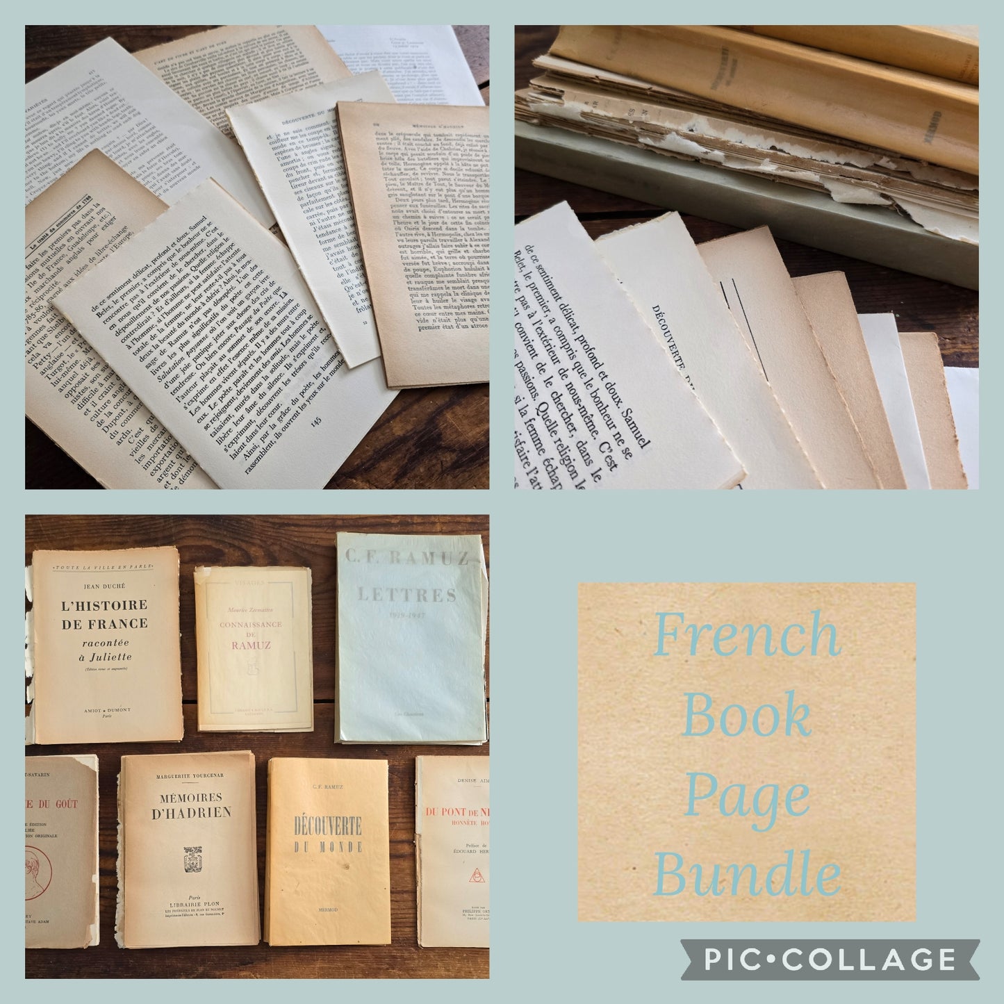 French Book Page Bundle
