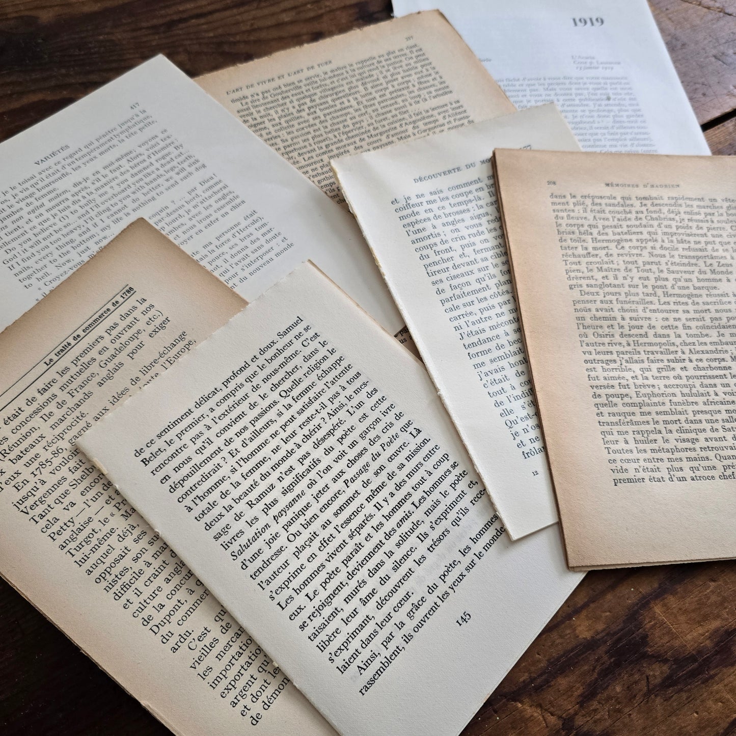 French Book Page Bundle