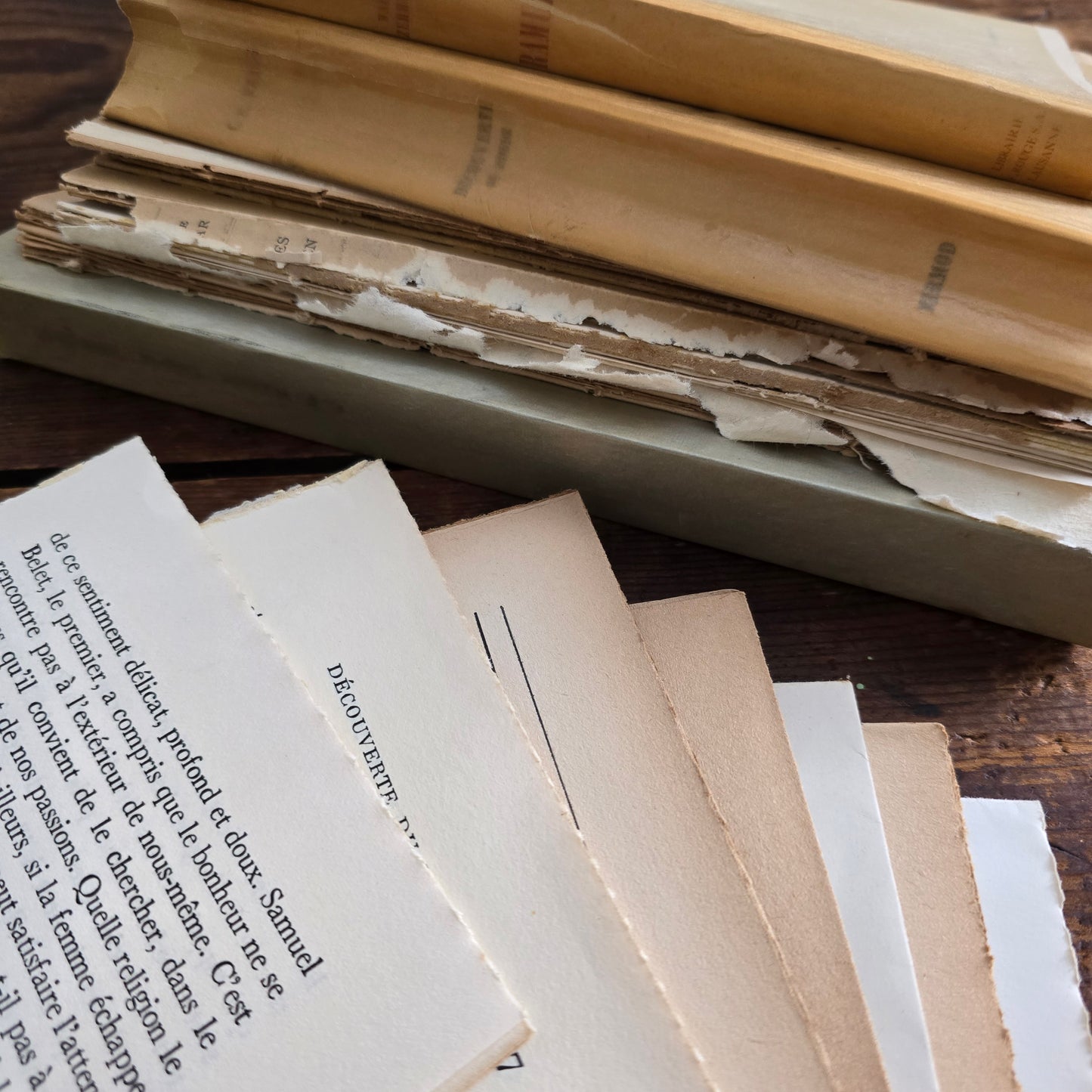 French Book Page Bundle